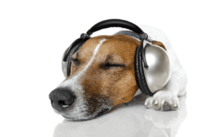 music for dogs with anxiety