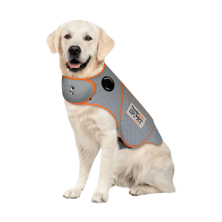 How to Put a ThunderShirt on a Dog