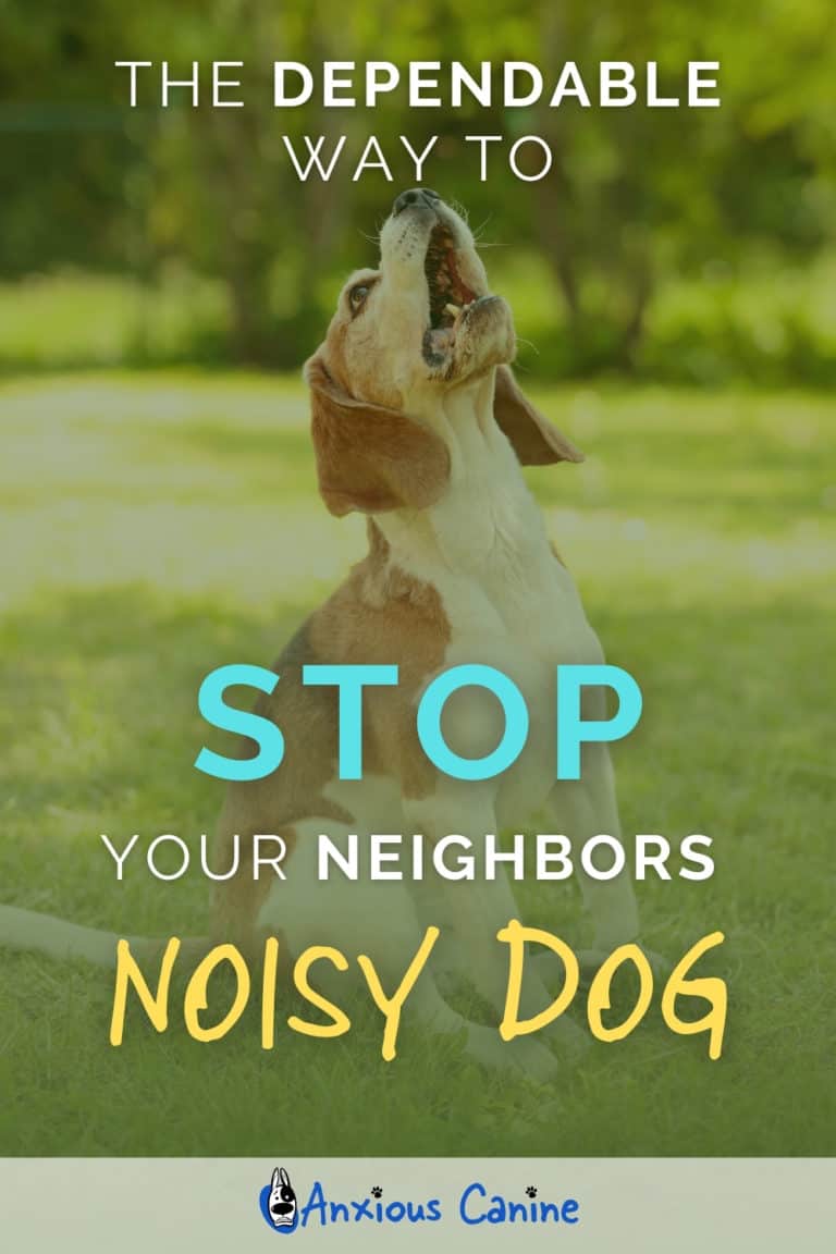 How To Stop A Neighbors Dog From Barking Mute that mutt!