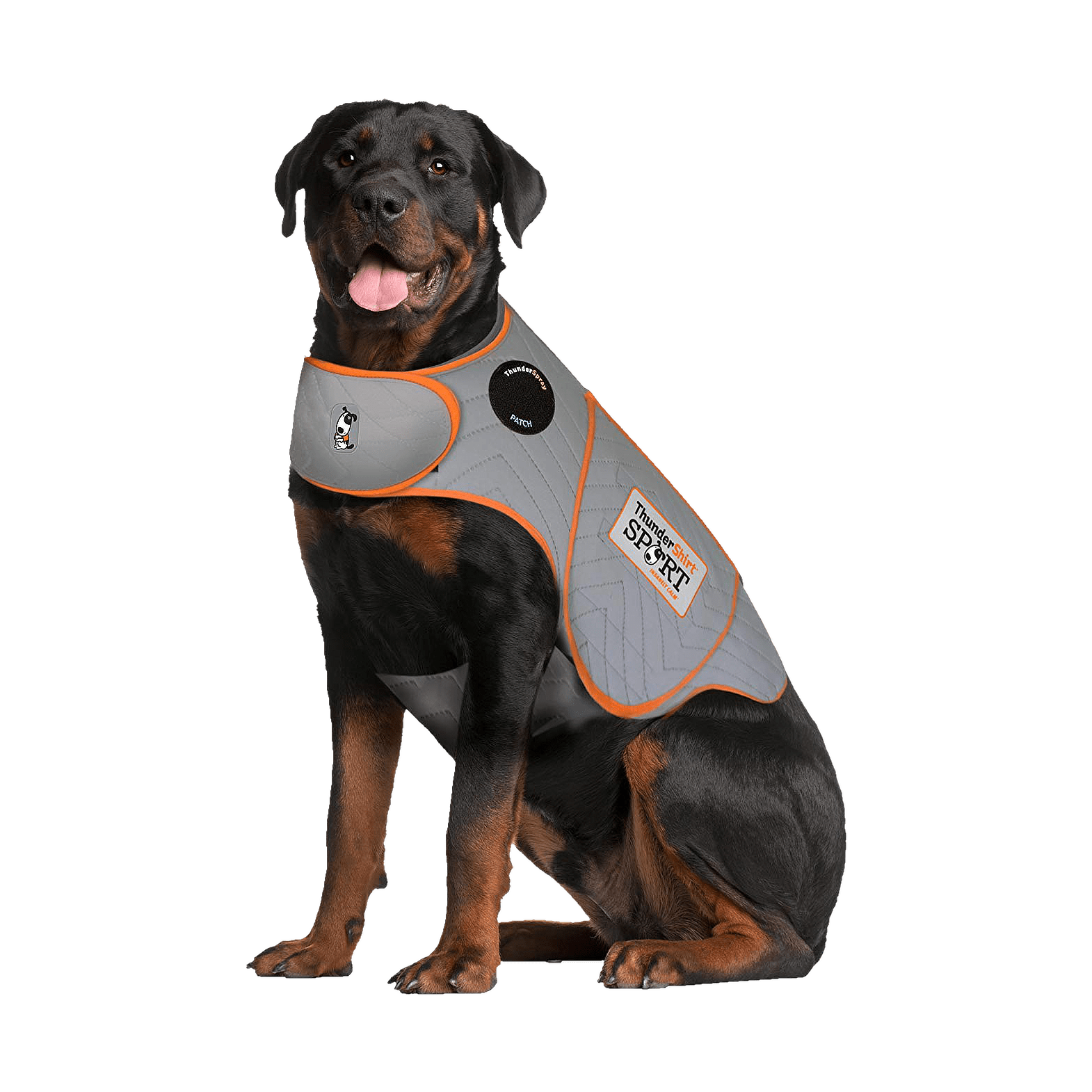 How to Put a ThunderShirt on a Dog