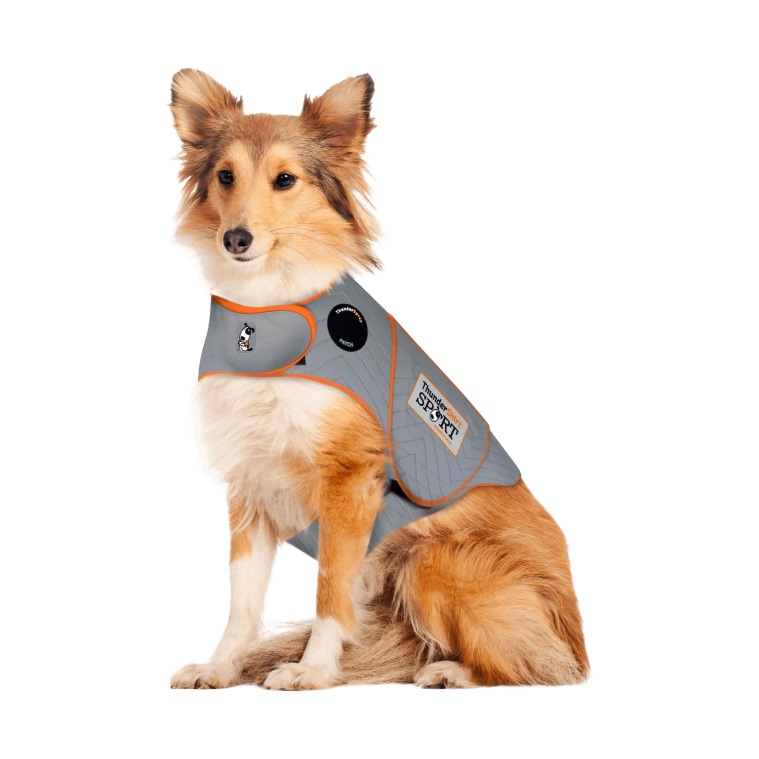 How to Put a ThunderShirt on a Dog