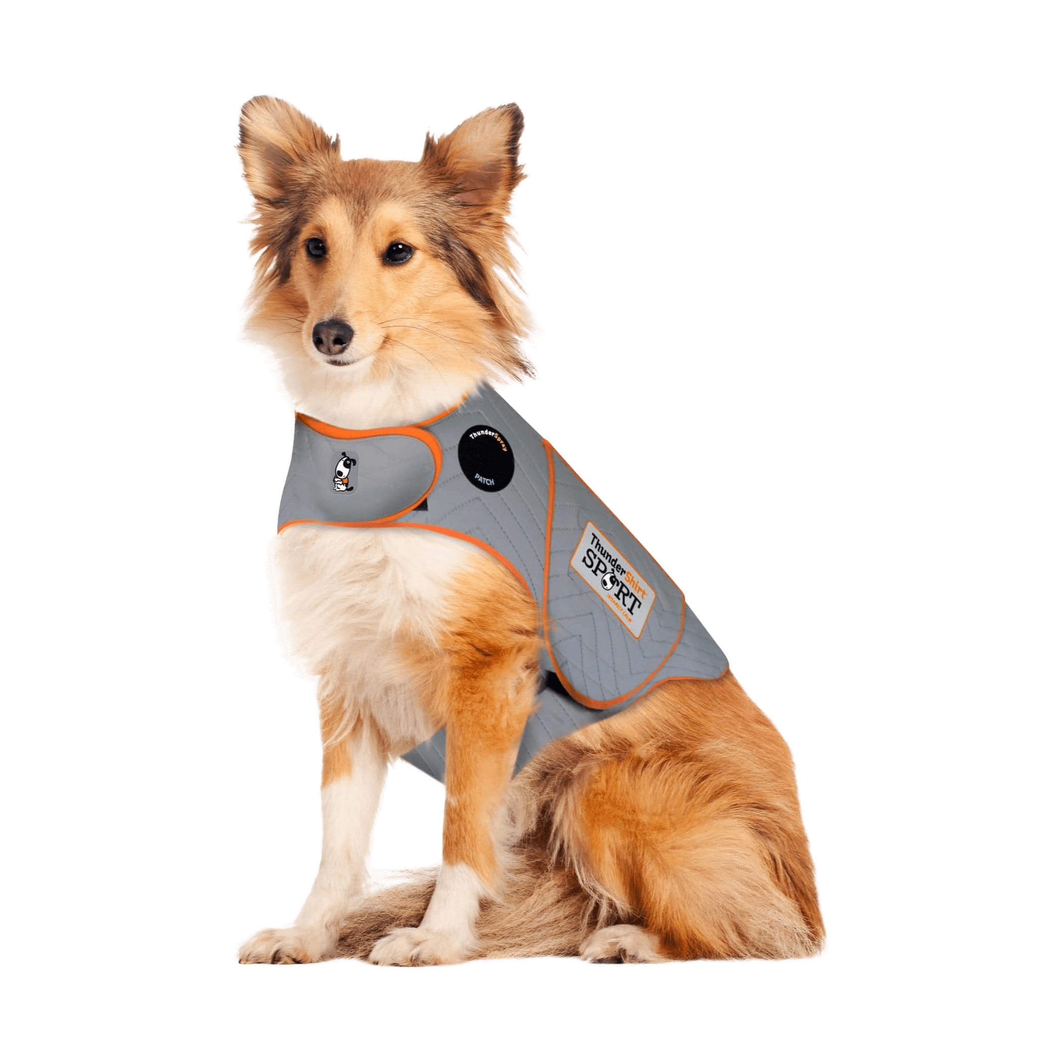 How to Put a ThunderShirt on a Dog