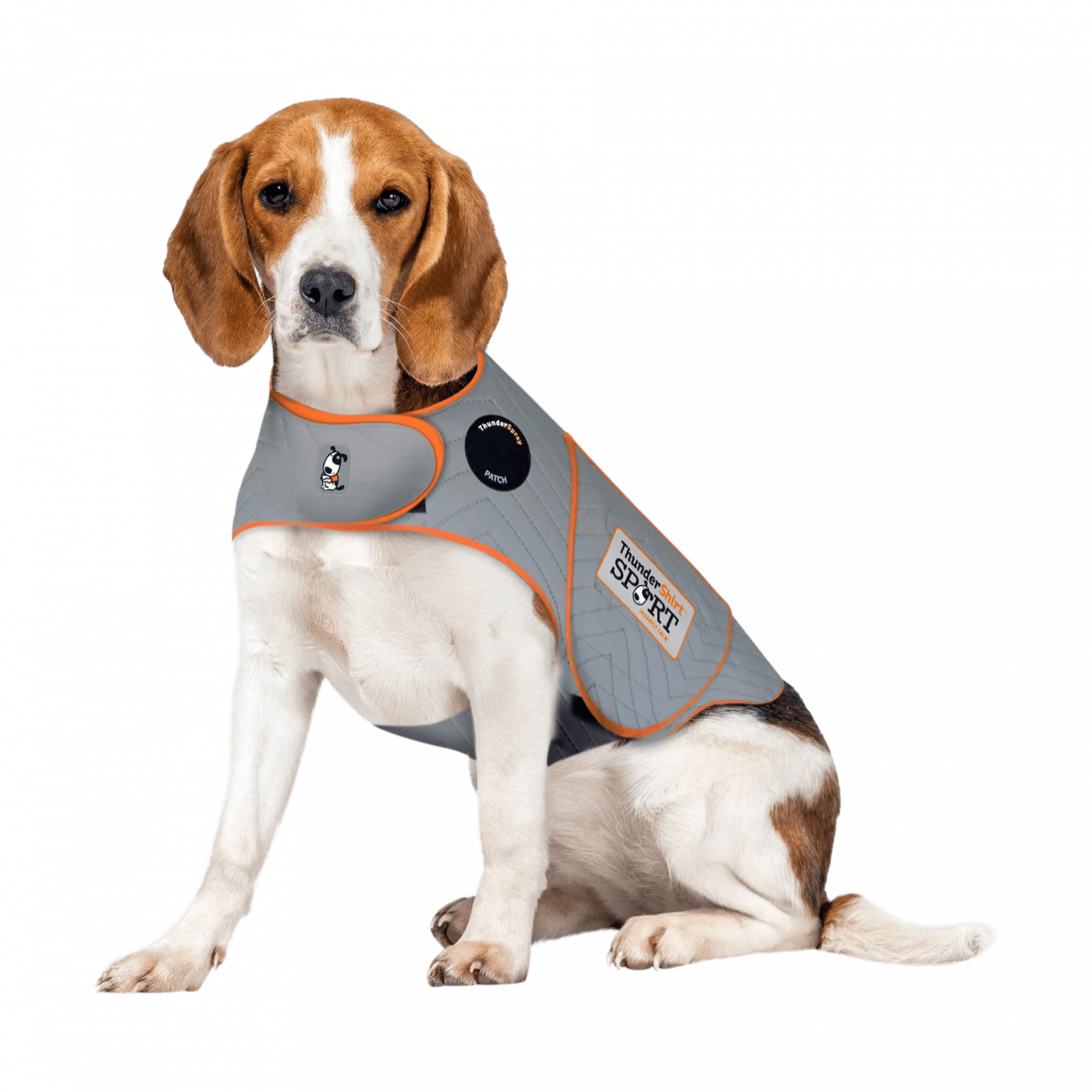 Thundershirt for Dogs Do They Really Work?