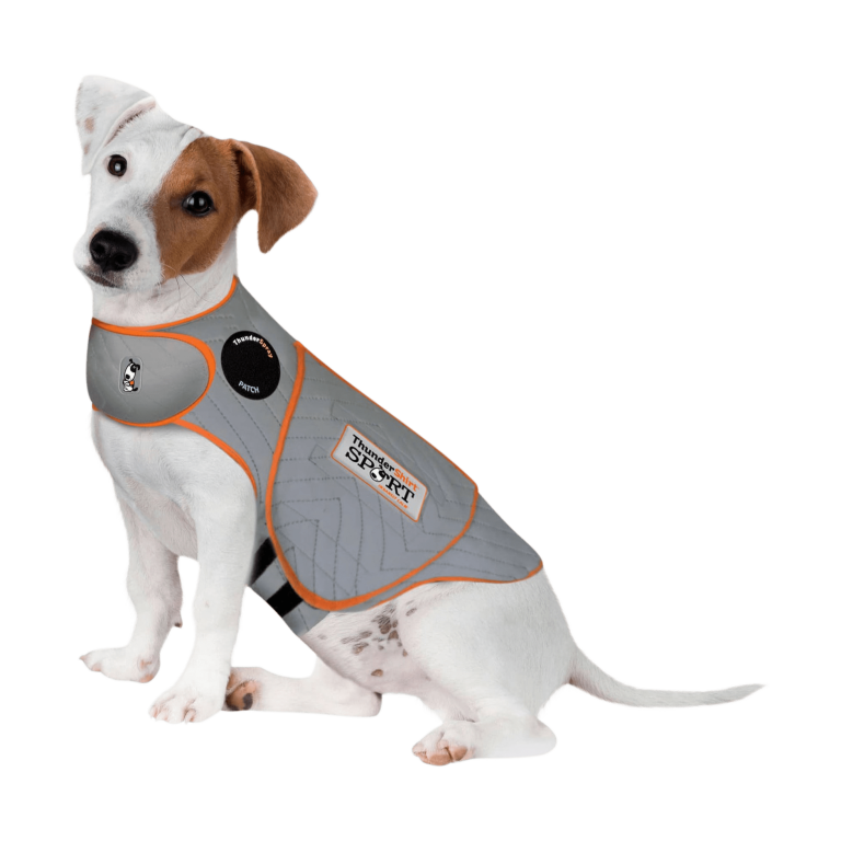 How to Put a ThunderShirt on a Dog