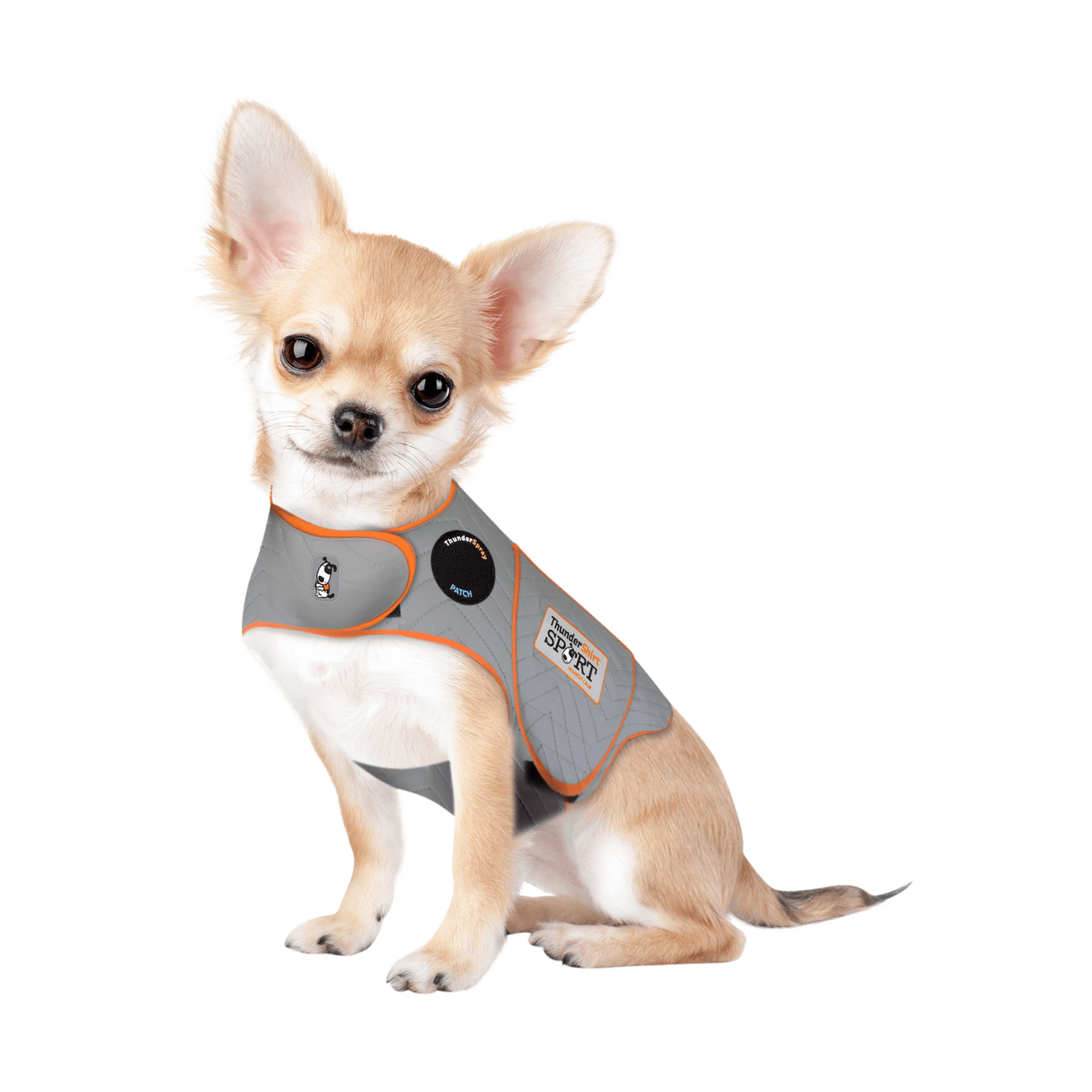 How to Put a ThunderShirt on a Dog