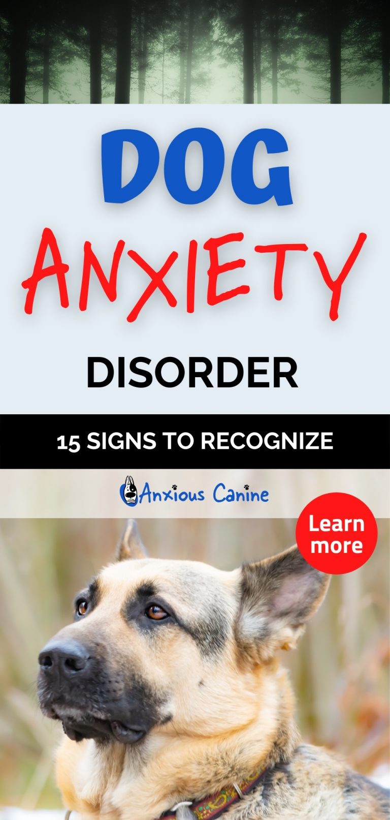 Dog Anxiety Disorder 15 Signs to Recognize