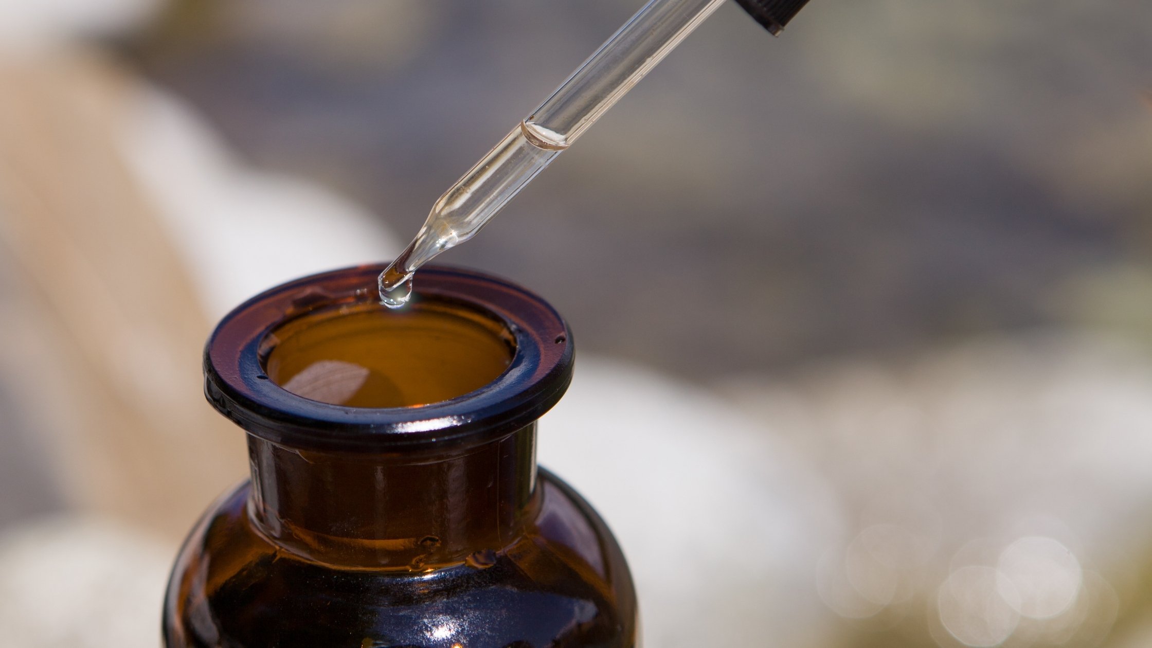 Natural Antibiotics for Dogs The Top 6 Alternatives