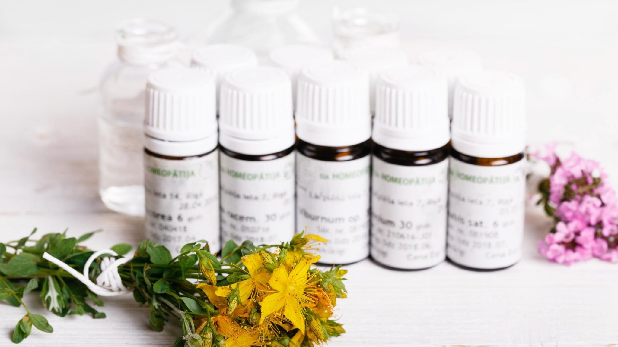 Is Your Dog Nervous? Homeopathy for Dogs with Anxiety